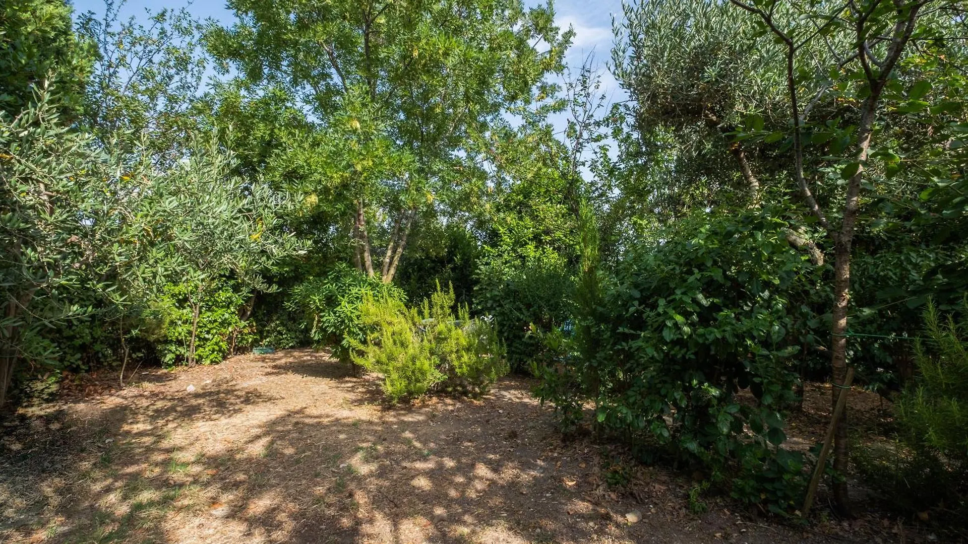 La Tana Della Volpe Apartment Sorano